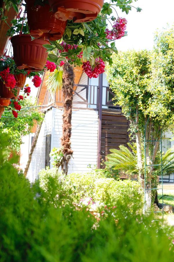 Guest House Alashara Pitsunda Exterior foto